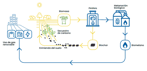 biodechets innovation es